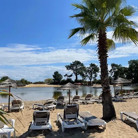 Parenthese Nature Au Cap Ferret *