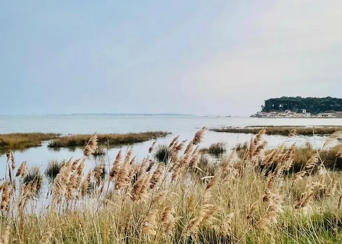 Campeggio Parenthèse Nature Au Cap Ferret Lège-Cap-Ferret
