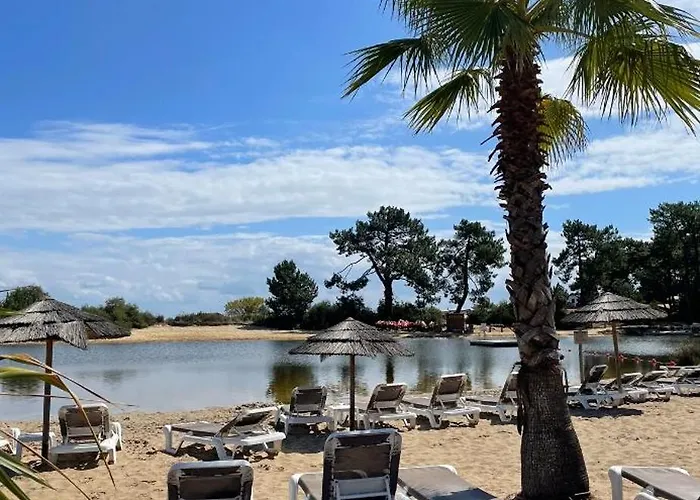 Parenthèse Nature Au Cap Ferret *